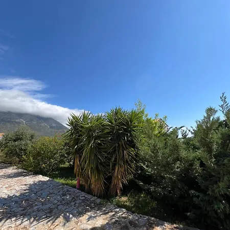 Koukouri Village Отель 4*