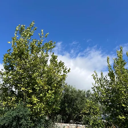 Hotel Koukouri Village 4*