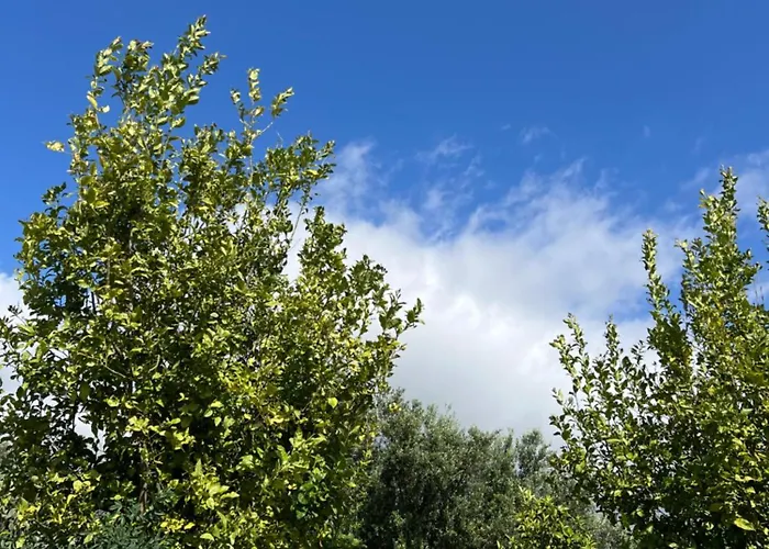 호텔 Koukouri Village 4*